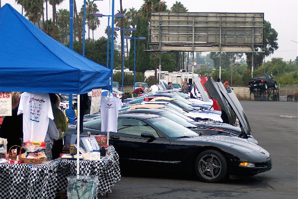 008 Line of vettes