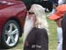 ZZ Top