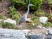 064 Heron